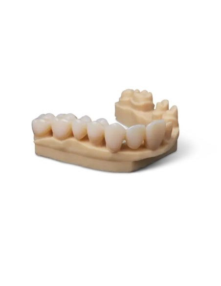 Premium Teeth HT A3 Resin (Form 3) 1 kg (0.8 L)