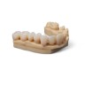 Premium Teeth HT A3 Resin (Form 3) 1 kg (0.8 L) 2